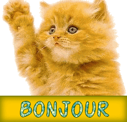 bonjours